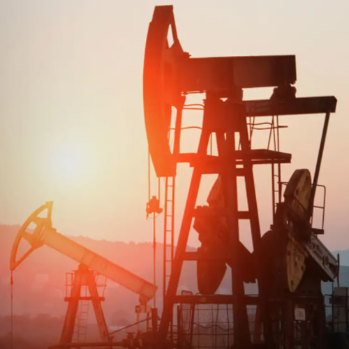 贵州粤鑫隆贸易有限公司优势03